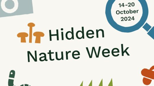 Hidden Nature Week