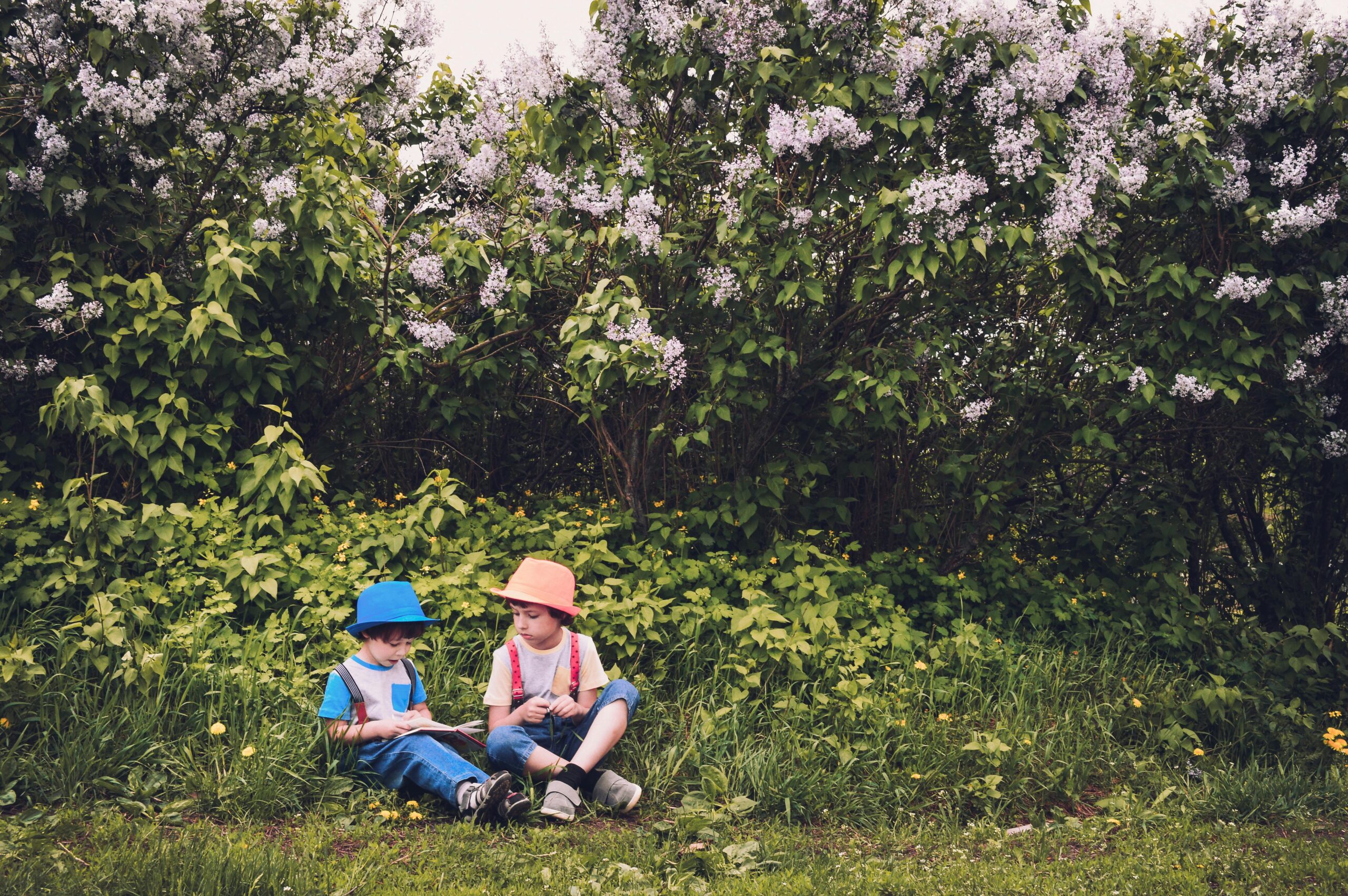 Children in nature